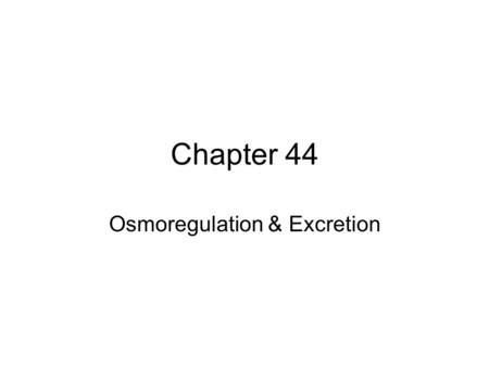 Osmoregulation & Excretion