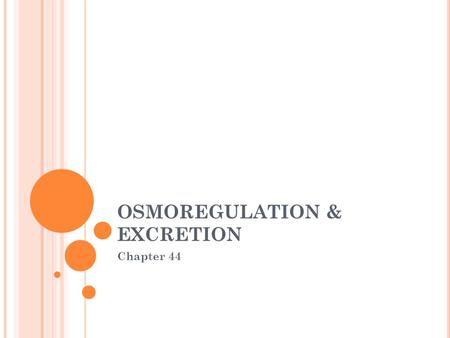 OSMOREGULATION & EXCRETION