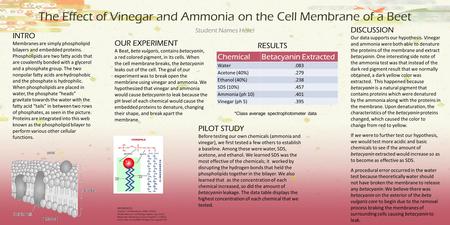 The Effect of Vinegar and Ammonia on the Cell Membrane of a Beet