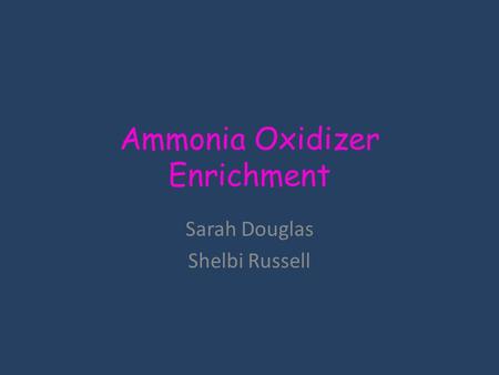 Ammonia Oxidizer Enrichment Sarah Douglas Shelbi Russell.