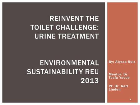 By: Alyssa Ruiz Mentor: Dr. Tesfa Yacob PI: Dr. Karl Linden REINVENT THE TOILET CHALLENGE: URINE TREATMENT ENVIRONMENTAL SUSTAINABILITY REU 2013 1.