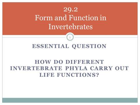 29.2 Form and Function in Invertebrates