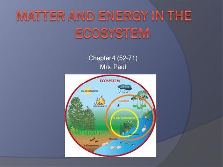 Matter and Energy in the Ecosystem