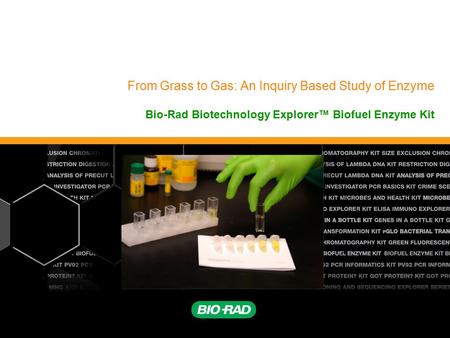 From Grass to Gas: An Inquiry Based Study of Enzyme