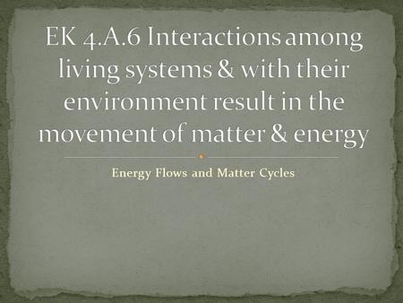 Energy Flows and Matter Cycles. Primary Producers – autotrophs capable of converting solar energy into chemical energy (plants, photosynthetic protists,