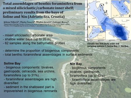 Total assemblages of benthic foraminifera from a mixed siliciclastic/carbonate inner shelf; preliminary results from the bays of Soline and Nin (Adriatic.