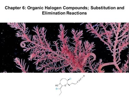 Nucleophilic Substitution