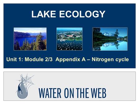 LAKE ECOLOGY Unit 1: Module 2/3 Appendix A – Nitrogen cycle.