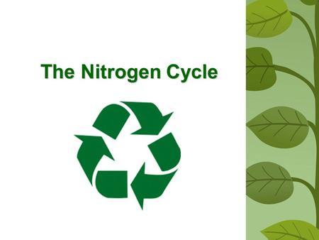 The Nitrogen Cycle.