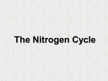 The Nitrogen Cycle.