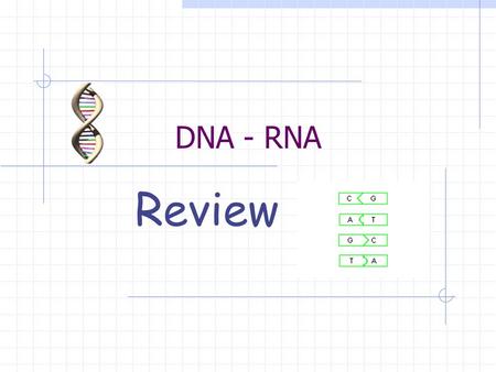 DNA - RNA Review. DNA What is the abbreviation for deoxyribonucleic acid ?