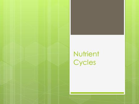 Nutrient Cycles. The water/Hydrologic Cycle  Where does Water get ‘stored’?  How does water move around the world?