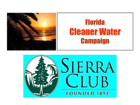 Florida Cleaner Water Campaign. July 31, 2008: Fish kills in Old Tampa Bay: Ben T. Davis and Courtney Campbell (60) beaches closed Photo from Bernie Banull.