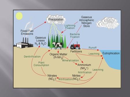 What % of the atmosphere is nitrogen? A) do I have to answer? B) 0 % C) 27.56 % D) 75 % E) 79 %