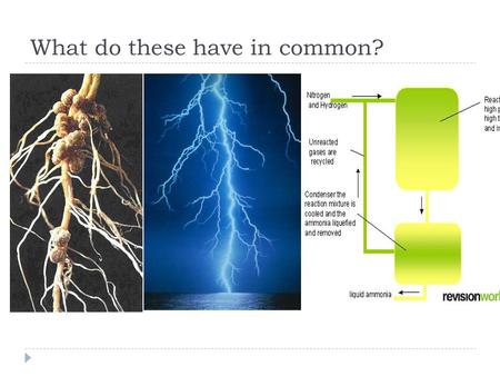 What do these have in common?. The Nitrogen Cycle Game V Symes.