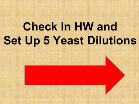 Check In HW and Set Up 5 Yeast Dilutions. Sentinel Species?