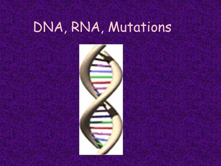 DNA, RNA, Mutations. Objective 2: 6a,b,c Biology: DNA, RNA, Mutation The student knows the structures and functions of nucleic acids in the mechanisms.