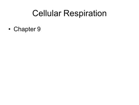 Cellular Respiration Chapter 9. Respiratory System In which two openings does air enter the respiratory system? Nose and mouth What is another name for.