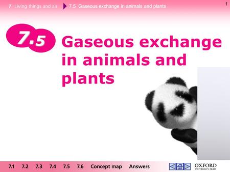 Gaseous exchange in animals and plants