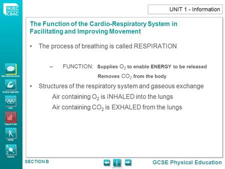 The process of breathing is called RESPIRATION