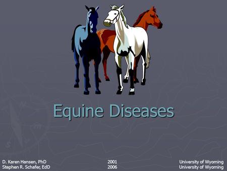 Equine Diseases Stephen R. Schafer, EdD 2006 University of Wyoming D. Karen Hansen, PhD 2001 University of Wyoming.