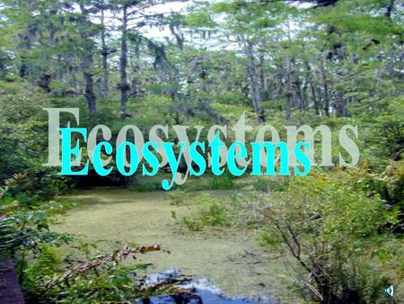 Ecosystems.