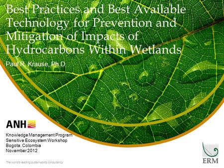 The world’s leading sustainability consultancy Best Practices and Best Available Technology for Prevention and Mitigation of Impacts of Hydrocarbons Within.