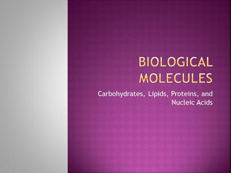 Bio 1 Carbohydrates, Lipids, Proteins, and Nucleic Acids