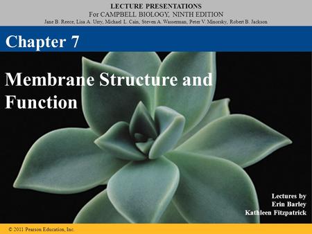 Membrane Structure and Function