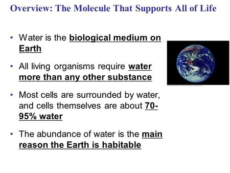 Overview: The Molecule That Supports All of Life Water is the biological medium on Earth All living organisms require water more than any other substance.