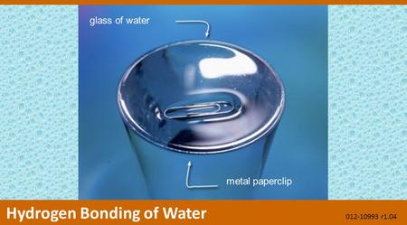 Glass of water metal paperclip Hydrogen Bonding of Water 012-10993 r1.04.