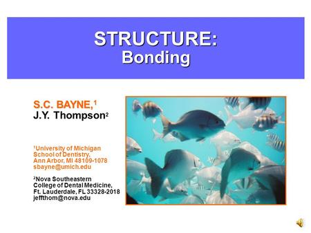 STRUCTURE:Bonding S.C. BAYNE, 1 J.Y. Thompson 2 1 University of Michigan School of Dentistry, Ann Arbor, MI 48109-1078 2 Nova Southeastern.