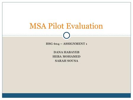 HSG 604 – ASSIGNMENT 1 DANA HABAYEB HEBA MOHAMED SARAH SOUSA MSA Pilot Evaluation.