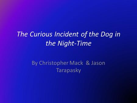 The Curious Incident of the Dog in the Night-Time