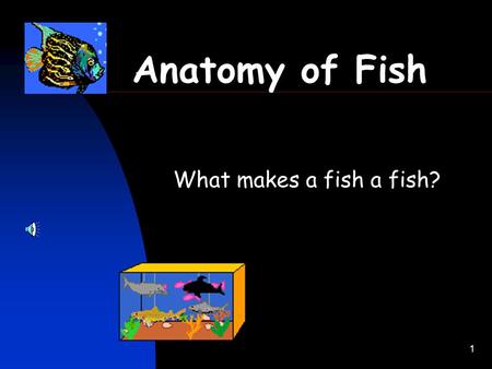 1 Anatomy of Fish What makes a fish a fish? 2 Things you will learn 1. Fish breathe through gills. 2. Fish have fins to help them swim. 3. Some fish.