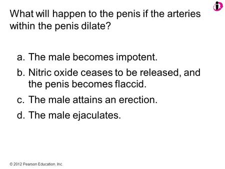 © 2012 Pearson Education, Inc. What will happen to the penis if the arteries within the penis dilate? a.The male becomes impotent. b.Nitric oxide ceases.