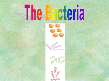 And Bacterial Creepers I study the lives on a leaf:the little Sleepers, numb nudgers in cold dimensions Beetles in caves, newts, stone-deaf fishes, Lice.