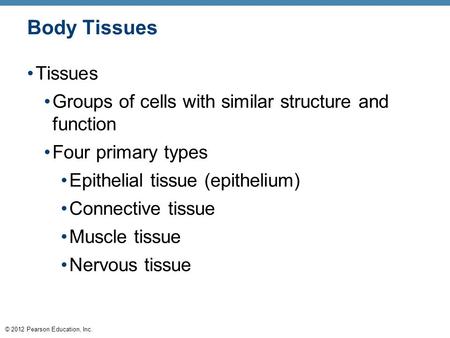 Body Tissues Tissues Groups of cells with similar structure and function Four primary types Epithelial tissue (epithelium) Connective tissue Muscle tissue.