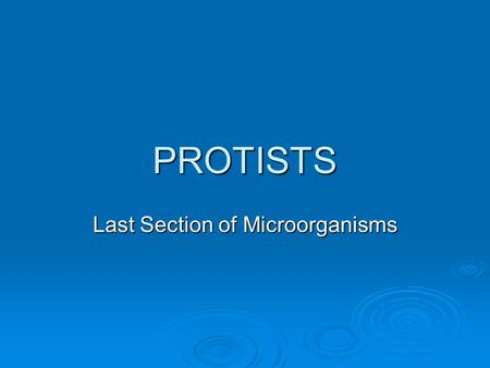 Last Section of Microorganisms