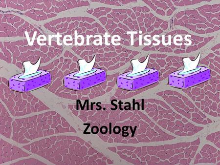 Vertebrate Tissues Mrs. Stahl Zoology. Tissue A group or mass of similar cells working together to perform a common function. The study of tissues= Histology.