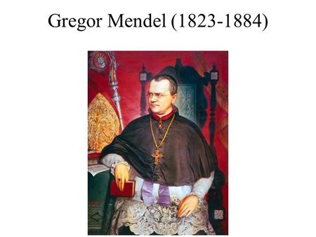 Gregor Mendel (1823-1884) DNA (gene) mRNA Protein Transcription RNA processing (splicing etc) Translation Folding Post translational modifications Peptides/amino.