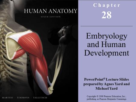 Copyright © 2008 Pearson Education, Inc., publishing as Benjamin Cummings C h a p t e r 28 Embryology and Human Development PowerPoint ® Lecture Slides.