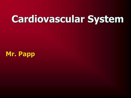 Cardiovascular System