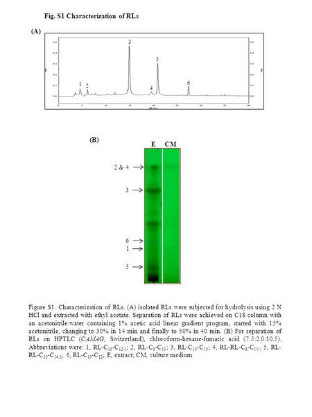 1 2 4 5 6 3 5 3 1 6 2 & 4 (A) (B) Fig. S1 Characterization of RLs E CM Figure S1. Characterization of RLs. (A) isolated RLs were subjected for hydrolysis.