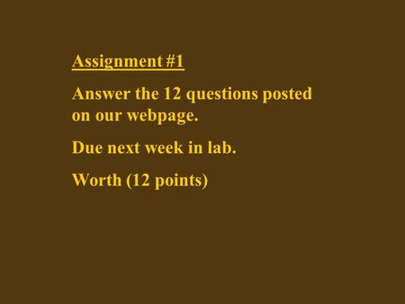 Assignment #1 Answer the 12 questions posted on our webpage. Due next week in lab. Worth (12 points)