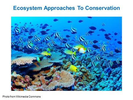 Ecosystem Approaches To Conservation Photo from Wikimedia Commons.