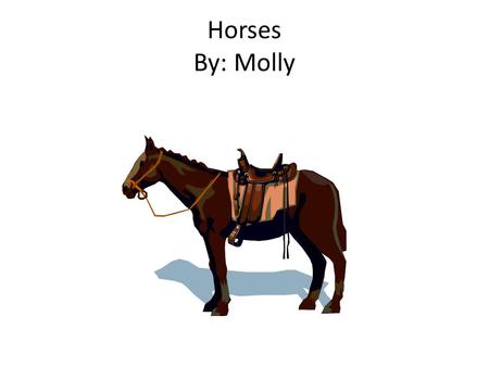 Horses By: Molly. Table of Contents Introduction……………………………….. Page 3 Chapter 1: A Foal Is Born Page 4 Chapter 2: Friends Page 5 Chapter 3: Horse Talk.