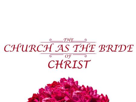 In the Gospels, Jesus is often referred to as the bridegroom (Jn 3:28-30; Matt 25:1-13). In the rest of the New Testament, Jesus is the groom & the church.