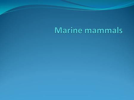 Introduction One type of animal that made a successful and complete transition from land to water in the course of its evolution is the whale. The According.