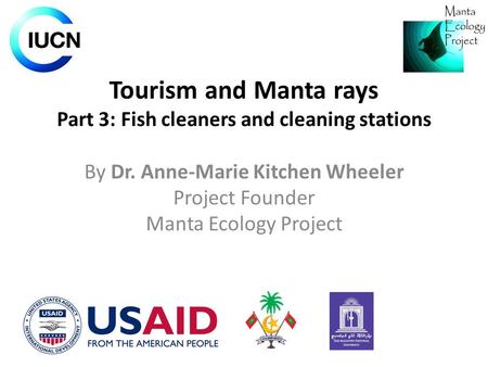 Tourism and Manta rays Part 3: Fish cleaners and cleaning stations By Dr. Anne-Marie Kitchen Wheeler Project Founder Manta Ecology Project.